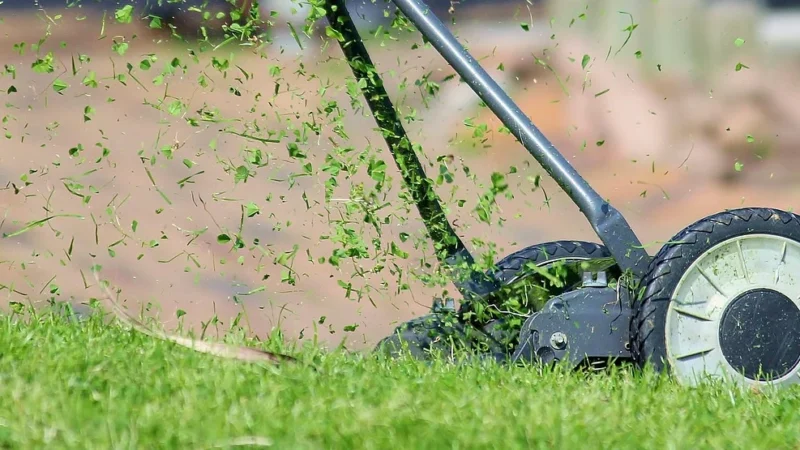 6 korzyści z użytkowania kosiarki bijakowej