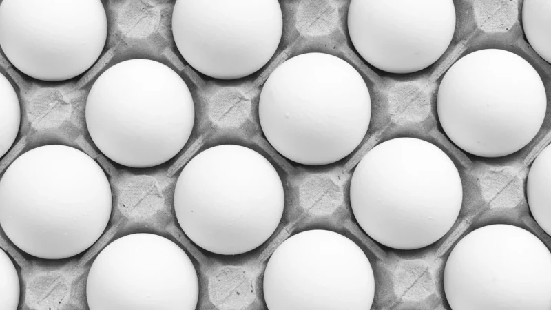 Jak produkować wrapy w Polsce – przewodnik dla branży PPFF